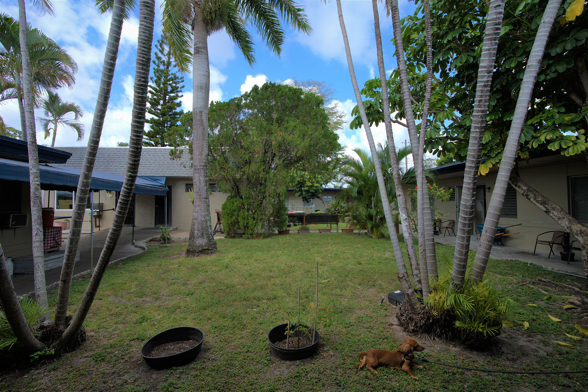 Assisted Living near me